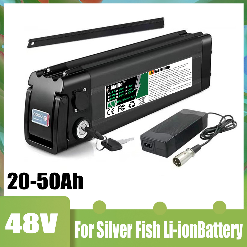 48V Battery Pack 20-50Ah Silve - Ebike Battery 48V 20Ah Hailong ulasan dan harga