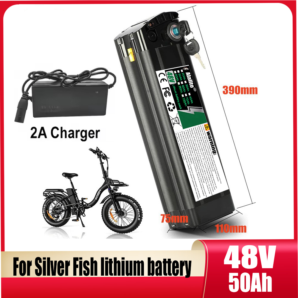 48V Battery Pack 20-50Ah Silve - Ebike Battery 48V 20Ah Hailong ulasan dan harga
