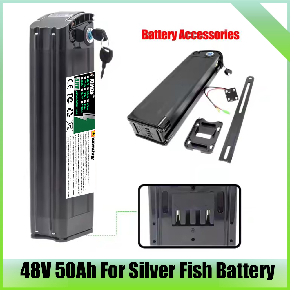 48V Battery Pack 20-50Ah Silve - Ebike Battery 48V 20Ah Hailong ulasan dan harga
